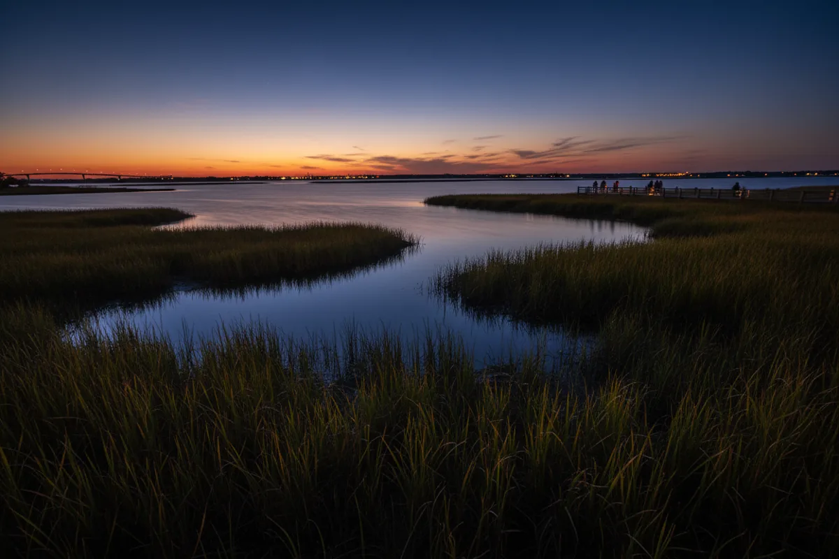 Tall marsh grasses and calm blue water at the Jamaica Bay Wildlife Refuge on a sunny day.