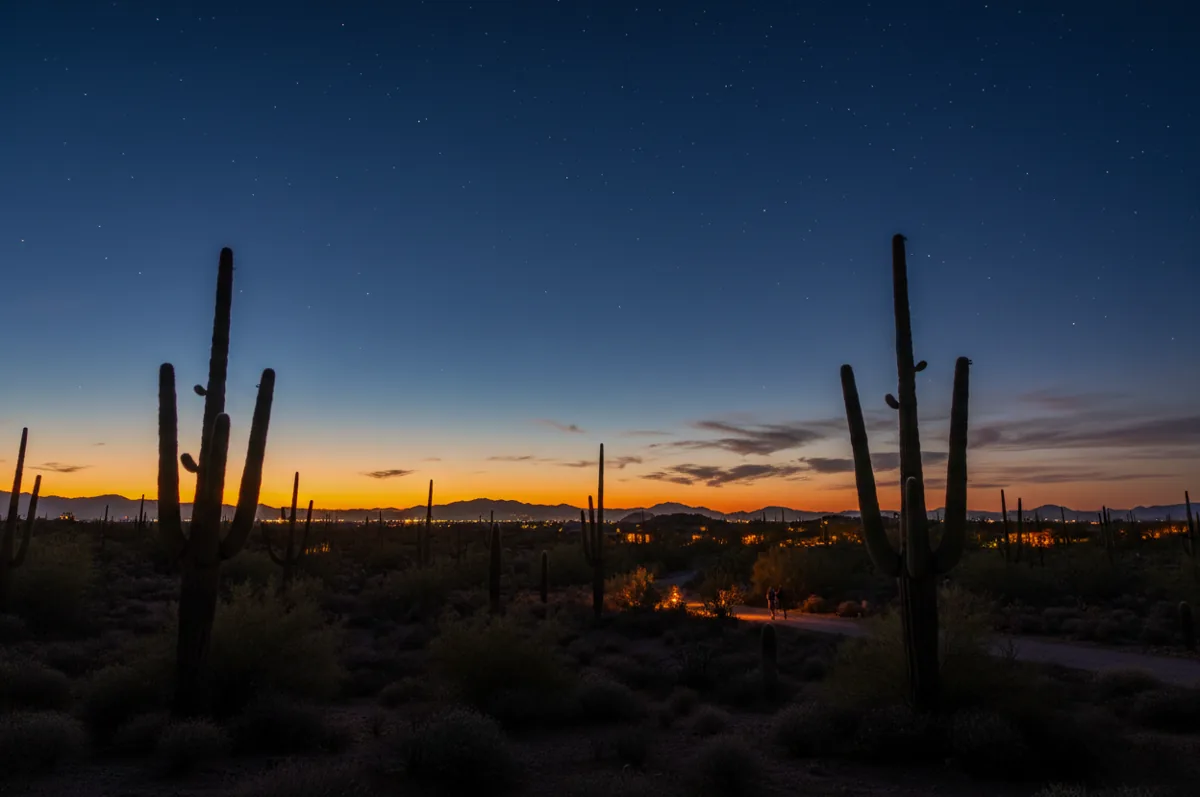 Saguaro cacti silhouetted against a desert landscape and a deep blue twilight sky near Tucson.